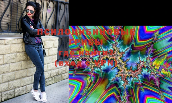индика Белокуриха
