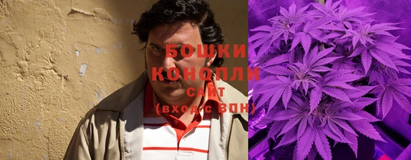 гашик Бронницы